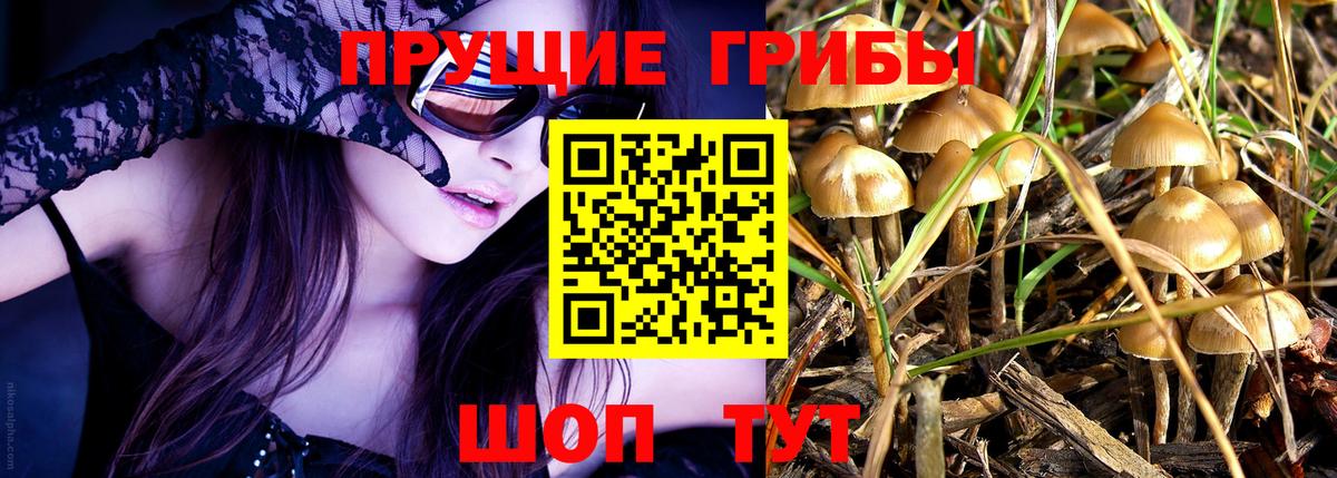 Родники  Псилоцибиновые грибы мицелий  Псилоцибиновые грибы MAGIC MUSHROOMS  Вход с VPN 