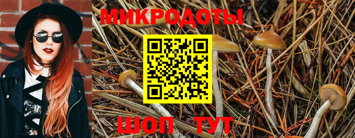 Псилоцибиновые грибы прущие грибы Родники