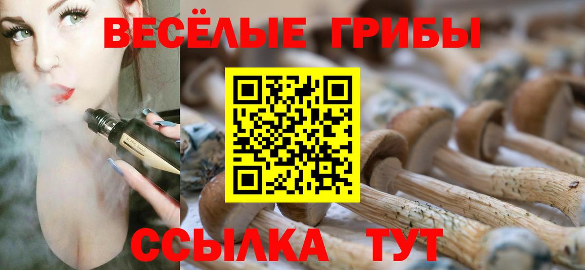 Родники  ГАШ  КОКАИН  LSD-25  Марихуана  Вход с VPN  Кетамин  Меф МЯУ МЯУ  
